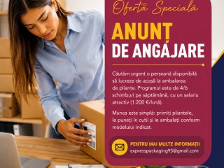 ambalaj-pentru-joburipliante-pentru-lucrul-de-acasa