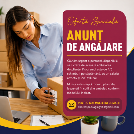 ambalaj-pentru-joburipliante-pentru-lucrul-de-acasa-big-0